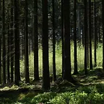 Magnificent In With Sauna بيت للعطل *