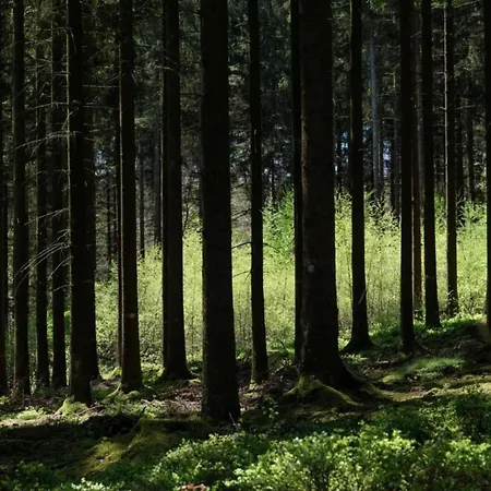 Magnificent In With Sauna Dom wakacyjny *