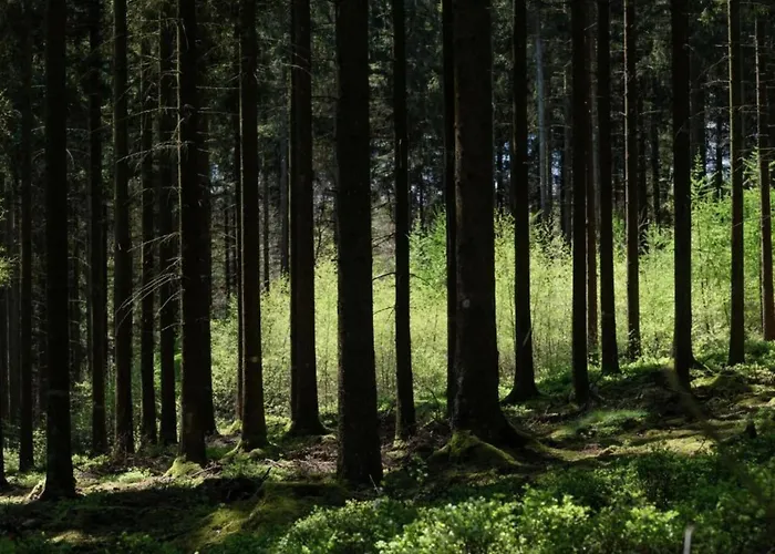 Magnificent In With Sauna Hébergement de vacances *